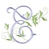 e machine embroidery design alphabet script rose leaves scroll abc a b c letter lettering monogram monogramming art pes hus jef dst exp needle passion embroidery