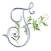 f machine embroidery design alphabet script rose leaves scroll abc a b c letter lettering monogram monogramming art pes hus jef dst exp needle passion embroidery