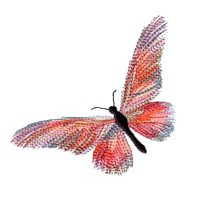 butterfly machine embroidery design for variegated thread art pes hus dst needle passion embroidery npe