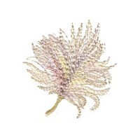 feather feathers plume down machine embroidery design designs needle passion embroidery needlepassion npe