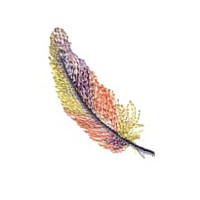 feather feathers plume down machine embroidery design for variegated thread designs needle passion embroidery needlepassion npe