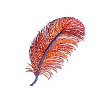 feather machine embroidery design for variegated thread multicolour multicoloured thread art pes hus dst needle passion embroidery npe