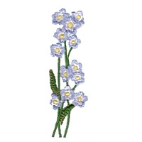 machine embroidery design forget-me-not flower embroidery machine embroidery design npe, needle passion embroidery designs