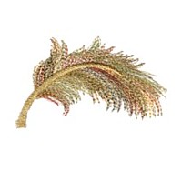 feather plume machine embroidery design variegated multicolored multicoloured thread