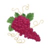 grapes thanksgiving machine embroidery harvest time embroidery art pes hus dst needle passion embroidery npe