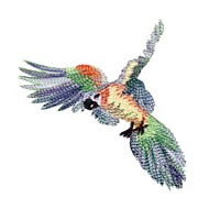 parrot bird machine embroidery design for variegated thread art pes hus dst needle passion embroidery npe