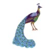 peacock bird machine embroidery design for variegated thread multicolour multicoloured thread art pes hus dst needle passion embroidery npe