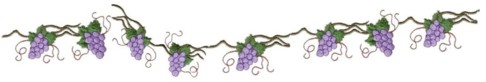 Grapes vine border machine embroidery design wine beverage alcohol drink grapes grapevine bottle art pes hus dst needle passion embroidery npe