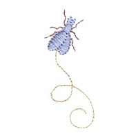free machine embroidery design free sample fly critter insect machine embroidery design swirl swirly trail swirls cute bug needle passion embroidery needlepassion npe bernina artista art pes hus jef dst designs